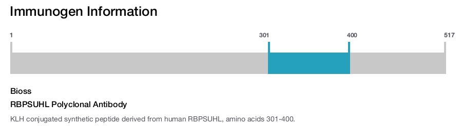 RBPSUHL Polyclonal Antibody