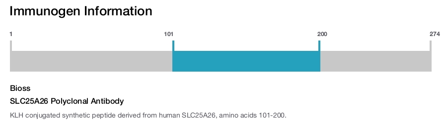 SLC25A26 Polyclonal Antibody