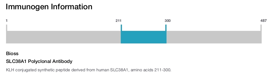 SLC38A1 Polyclonal Antibody