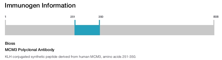 MCM3 Polyclonal Antibody
