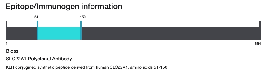 SLC22A1 Polyclonal Antibody