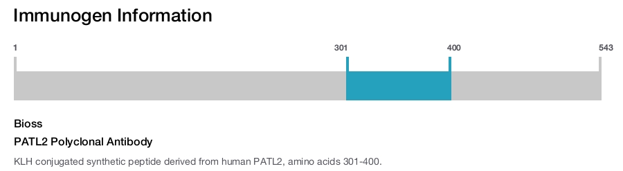 PATL2 Polyclonal Antibody