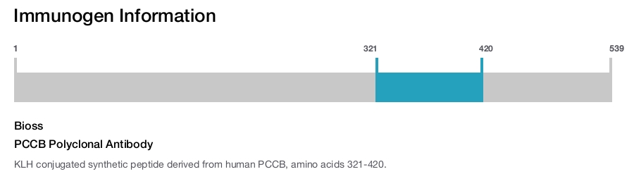 PCCB Polyclonal Antibody