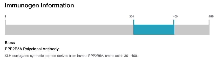 PPP2R5A Polyclonal Antibody