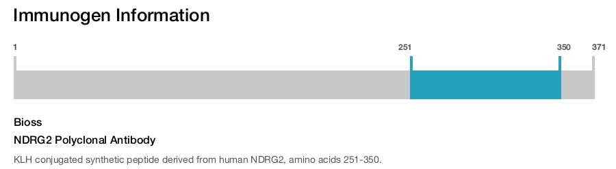 NDRG2 Polyclonal Antibody