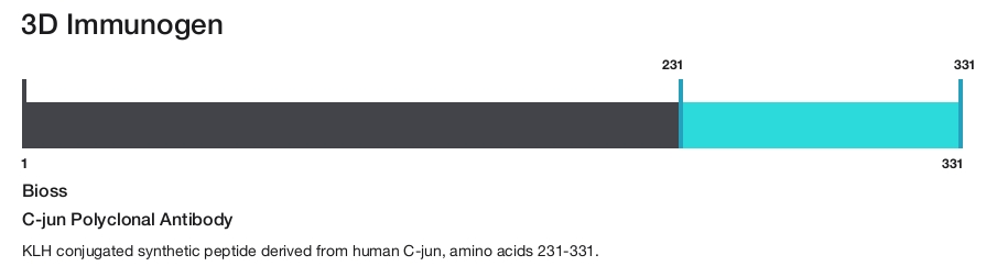 C-jun Polyclonal Antibody