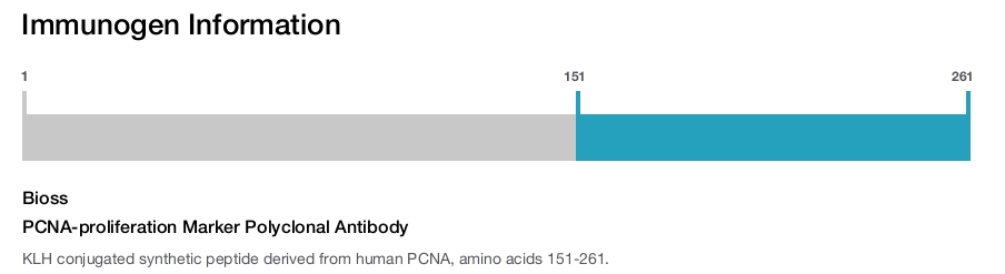 PCNA-proliferation Marker Polyclonal Antibody