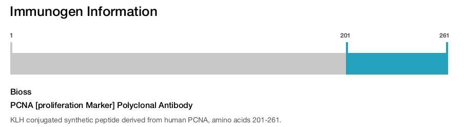 PCNA [proliferation Marker] Polyclonal Antibody