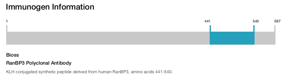 RanBP3 Polyclonal Antibody