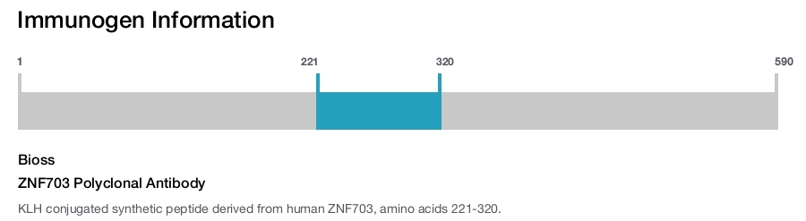ZNF703 Polyclonal Antibody