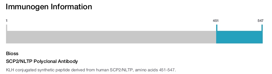 SCP2/NLTP Polyclonal Antibody