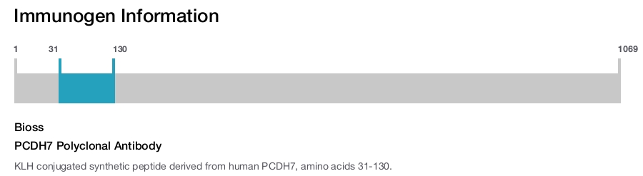 PCDH7 Polyclonal Antibody