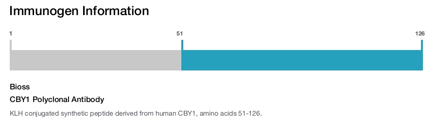 CBY1 Polyclonal Antibody