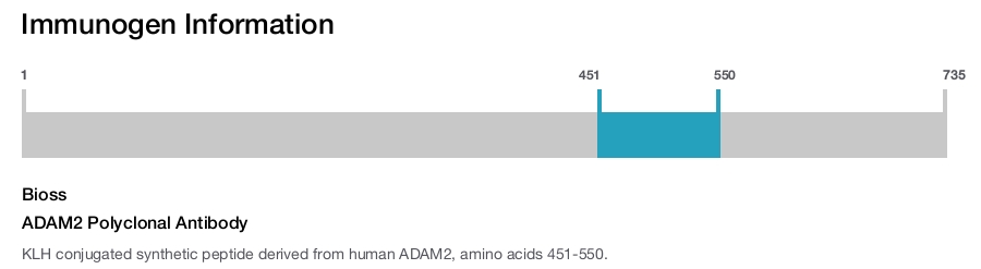 ADAM2 Polyclonal Antibody