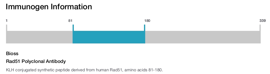 Rad51 Polyclonal Antibody