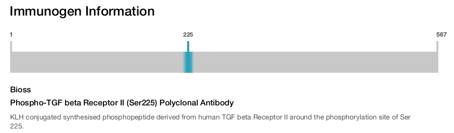Phospho-TGF beta Receptor II (Ser225) Polyclonal Antibody