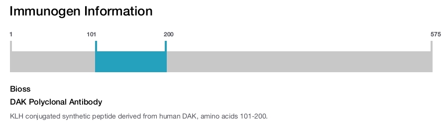 DAK Polyclonal Antibody