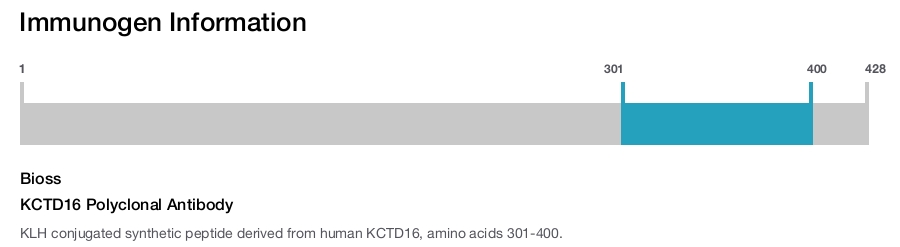 KCTD16 Polyclonal Antibody