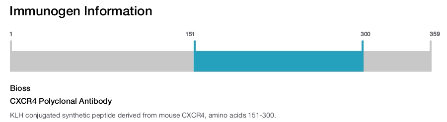 CXCR4 Polyclonal Antibody