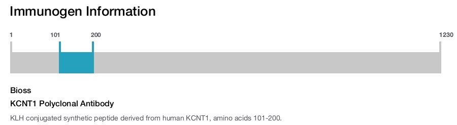 KCNT1 Polyclonal Antibody