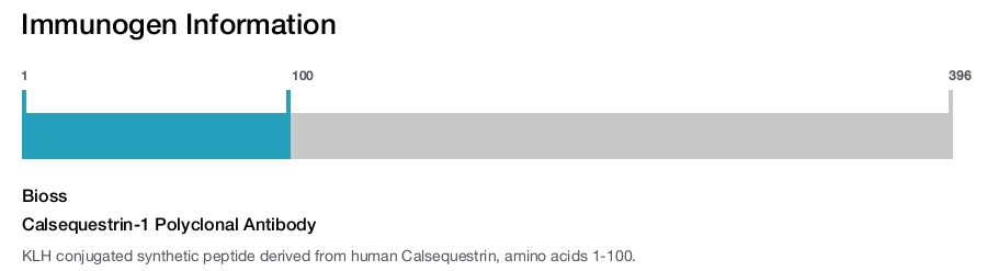 Calsequestrin-1 Polyclonal Antibody