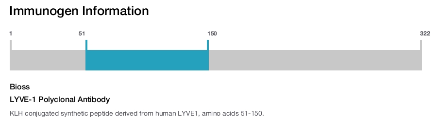 LYVE-1 Polyclonal Antibody