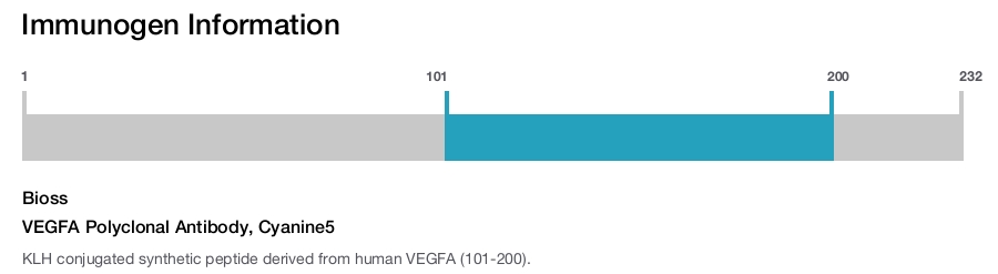 VEGFA Polyclonal Antibody, Cyanine5