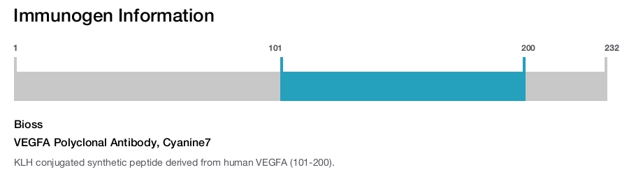 VEGFA Polyclonal Antibody, Cyanine7
