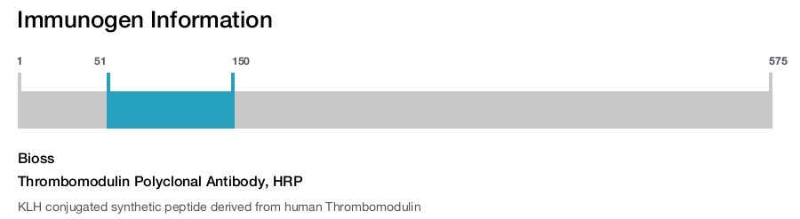 Thrombomodulin Polyclonal Antibody, HRP