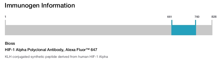 HIF-1 Alpha Polyclonal Antibody, Alexa Fluor&trade; 647