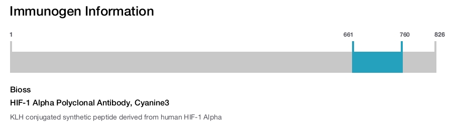 HIF-1 Alpha Polyclonal Antibody, Cyanine3