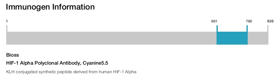 HIF-1 Alpha Polyclonal Antibody, Cyanine5.5