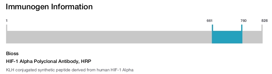 HIF-1 Alpha Polyclonal Antibody, HRP