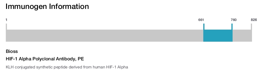 HIF-1 Alpha Polyclonal Antibody, PE
