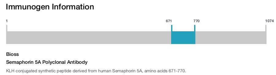 Semaphorin 5A Polyclonal Antibody