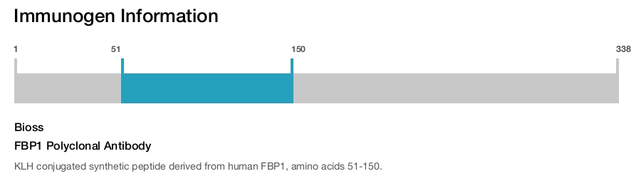 FBP1 Polyclonal Antibody