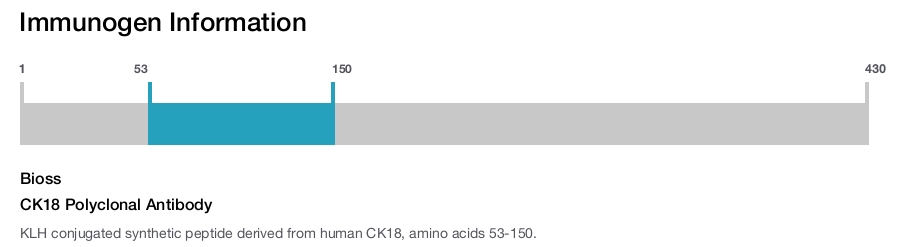 CK18 Polyclonal Antibody