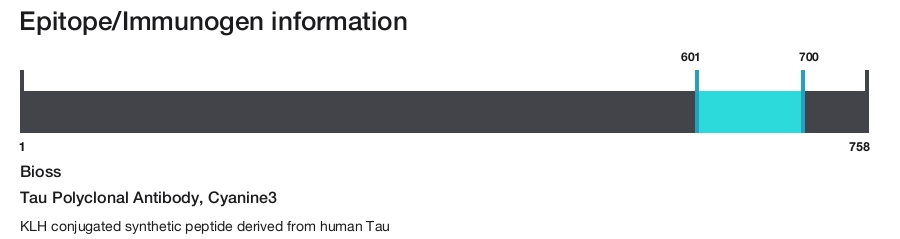Tau Polyclonal Antibody, Cyanine3