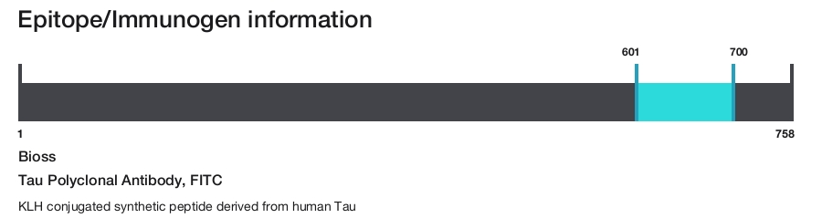 Tau Polyclonal Antibody, FITC