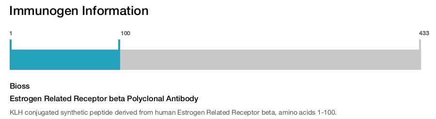 Estrogen Related Receptor beta Polyclonal Antibody