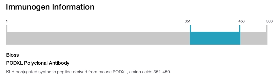 PODXL Polyclonal Antibody