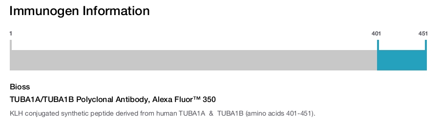 TUBA1A/TUBA1B Polyclonal Antibody, Alexa Fluor&trade; 350