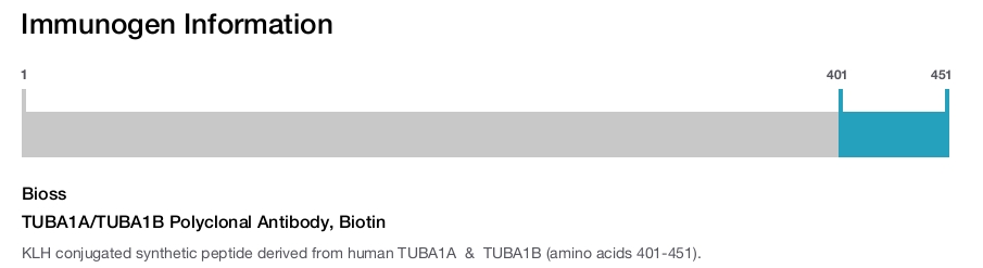 TUBA1A/TUBA1B Polyclonal Antibody, Biotin