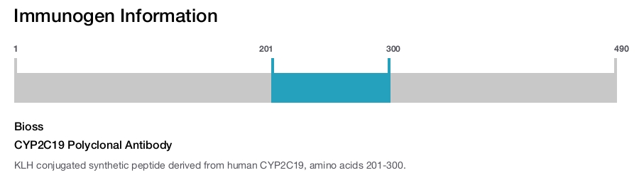 CYP2C19 Polyclonal Antibody