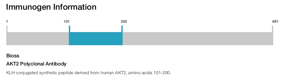 AKT2 Polyclonal Antibody