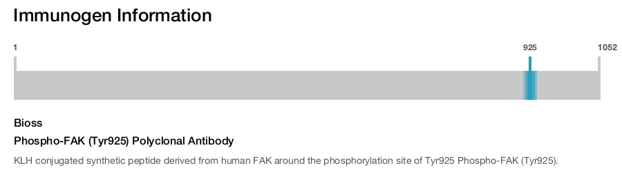Phospho-FAK (Tyr925) Polyclonal Antibody