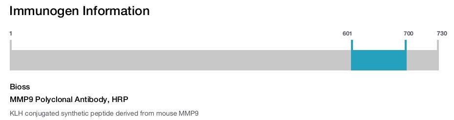 MMP9 Polyclonal Antibody, HRP