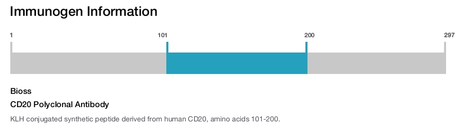 CD20 Polyclonal Antibody