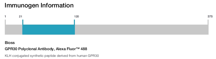 GPR30 Polyclonal Antibody, Alexa Fluor&trade; 488