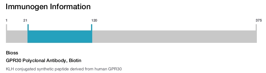 GPR30 Polyclonal Antibody, Biotin